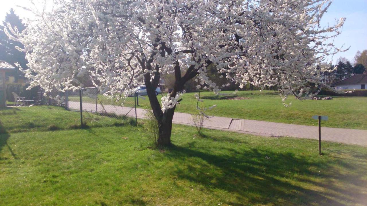Apartment In Sehlen/Insel Ruegen 3067 المظهر الخارجي الصورة